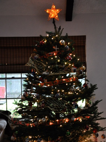 a plea for real trees the true history of christmas trees a plea for real trees the true history of christmas trees