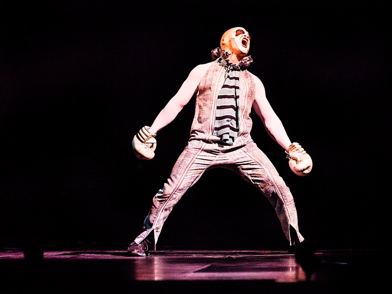Cirque du Soleil, Quidam