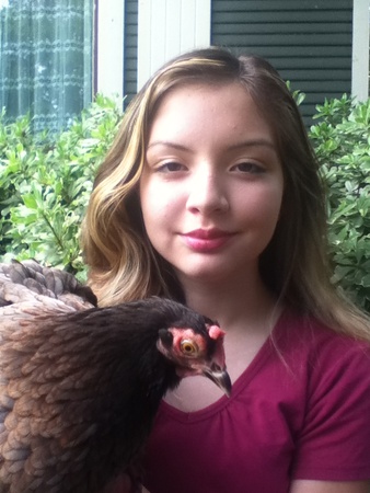 Isabella Acuña_Hens for Homes_chicken