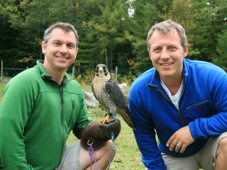 Wild Kratts