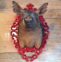 Austin photo: News_Matt McGinnis_Banger's_Pig Bust