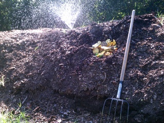 Lecture: Composting & Vermiculture for Kids and Families by Joe Boswell