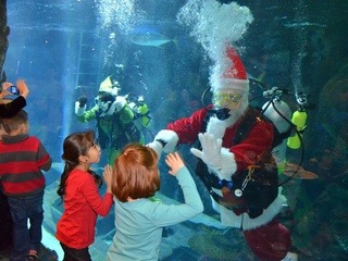 Houston Aquariums present Breakfast with Santa