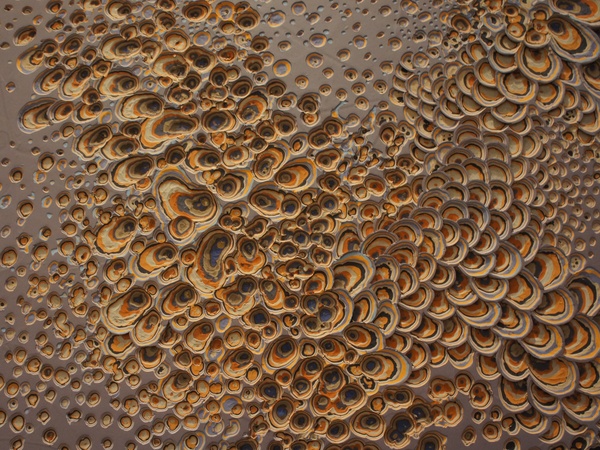 Houston Fine Arts Fair, recap, September 2012, Karin Waskiewicz, Contending Mass, 2012, acrylic on canvas, detail