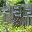 13, Katie, magical moment, butterflies and hummingbirds, January 2013, Where others had worked too