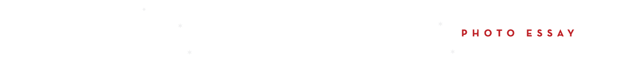Holiday Gift Guide 2