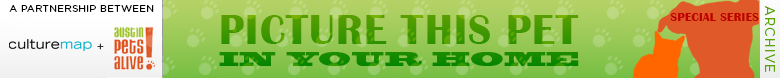 Picture This Pet